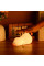 Світильник ZUVER Lamp Duck