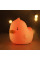 Світильник ZUVER Lamp Duck LJC-200