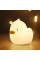 Світильник ZUVER Lamp Duck LJC-200