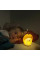 Світильник ZUVER Lamp Hedgehog