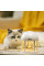 Світильник ZUVER Lamp Kitty In A Swing