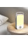 Світильник ZUVER Lamp Portable Carrying